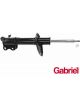 Gabriel Strut Front Rh Holden
