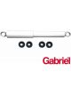 Gabriel Shock Absorber Rear