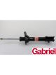 Gabriel Strut Rear LH Side
