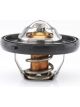 Tridon Thermostat
