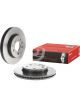 Brembo Brake Rotor