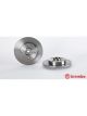 Brembo Brake Rotor
