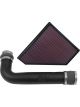 K&N Performance Air Intake System