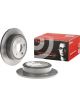 Brembo Brake Rotor