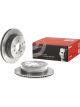 Brembo Brake Rotor