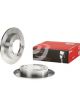 Brembo Brake Rotor