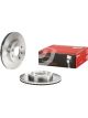 Brembo Brake Rotor