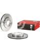 Brembo Brake Rotor