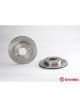 Brembo Brake Rotor