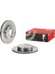 Brembo Brake Rotor