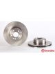 Brembo Brake Rotor