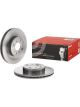 Brembo Disc Brake Rotor (Single) 255mm