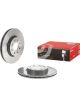 Brembo Disc Brake Rotor (Single) 257mm