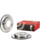 Brembo Brake Rotor