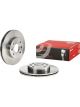 Brembo Brake Rotor