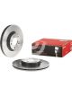 Brembo Disc Brake Rotor (Single) 300mm