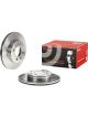 Brembo Brake Rotor