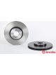 Brembo Brake Rotor