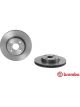 Brembo Brake Rotor