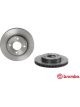 Brembo Brake Rotor
