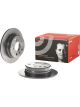 Brembo Brake Rotor