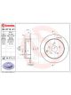 Brembo Disc Brake Rotor (Single) 298mm