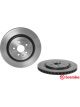 Brembo Disc Brake Rotor (Single) 365mm