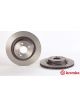 Brembo Brake Rotor