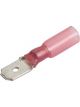Narva 6.3 x 0.8mm Adhesive Lined Male Blade Terminal Red Pack of 20