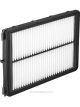 Ryco Air Filter