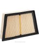 Ryco Air Filter