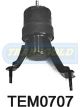 Transgold Engine Mount