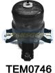 Transgold Engine Mount