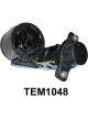 Transgold Engine Mount