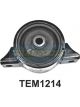 Transgold Engine Mount