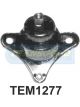 Transgold Engine Mount