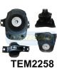 Transgold Engine Mount