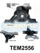 Transgold Engine Mount