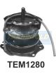 Transgold Engine Mount Rear A/T