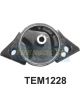 Transgold Engine Mount Rear Fits Nissan Bluebird U13 93-97 2.4 AT/MT