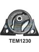 Transgold Engine Mount Front