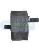 Transgold Engine Mount Rear
