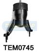 Transgold Engine Mount Rear M/T