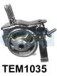 Transgold Engine Mount Rear A/T