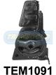 Transgold Engine Mount Front