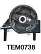 Transgold Engine Mount Rear