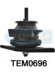 Transgold Engine Mount Front