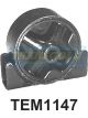 Transgold Engine Mount Front Manuel
