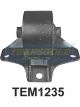 Transgold Engine Mount Rear