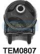 Transgold Engine Mount Rear